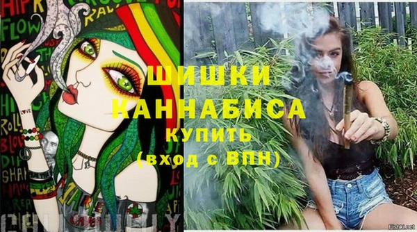 сатива Заволжье