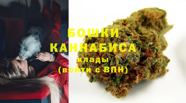 сатива Заволжье