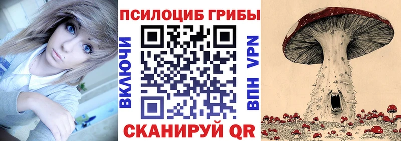 Галлюциногенные грибы Psilocybine cubensis  Невинномысск 